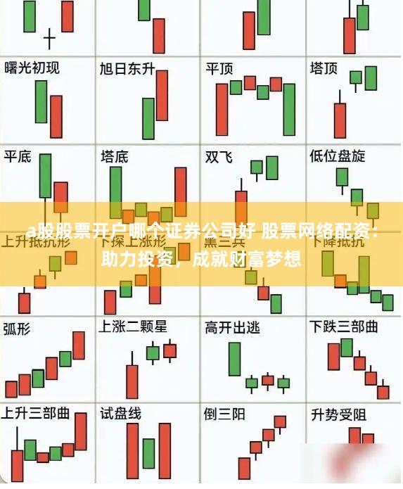 a股股票开户哪个证券公司好 股票网络配资：助力投资，成就财富梦想