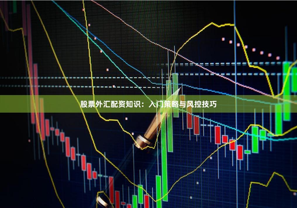 股票外汇配资知识：入门策略与风控技巧
